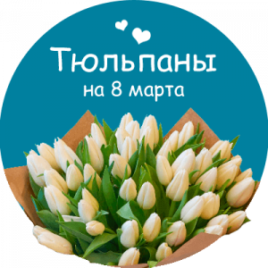 Купить тюльпаны в Молочанске